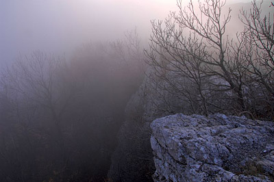 Discernment: Improving the Signal to Noise Ratio