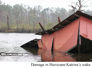 Waterlogged  by Fredrica R. Halligan