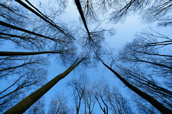 Our Relationship with Life