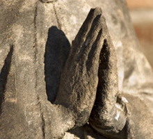 La importancia de la oración