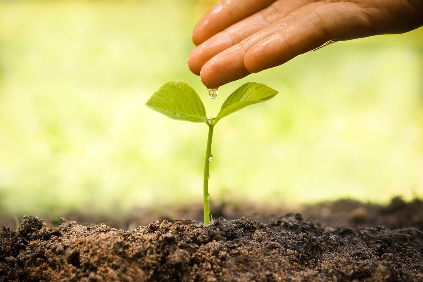 Living in Harmony... Awareness of Interdependence