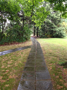 foot path